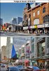 TN Yonge-Gould 1979-2015.jpg