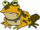 Hypnotoad