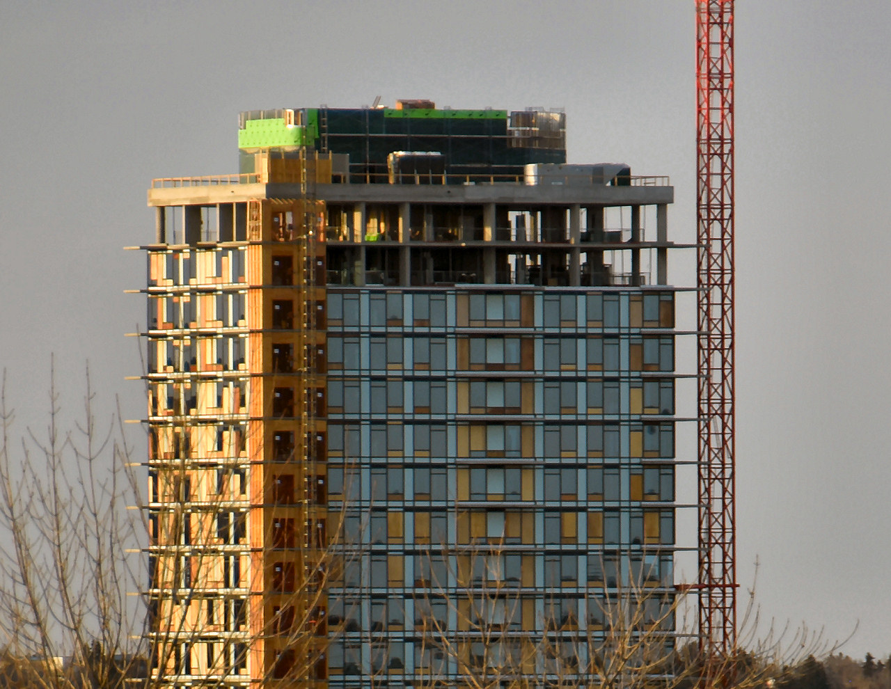 0-DSC_3303.JPG