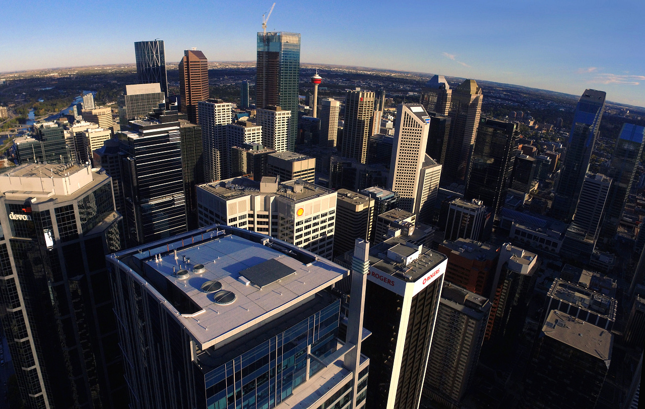 00-800_0000-2.jpg