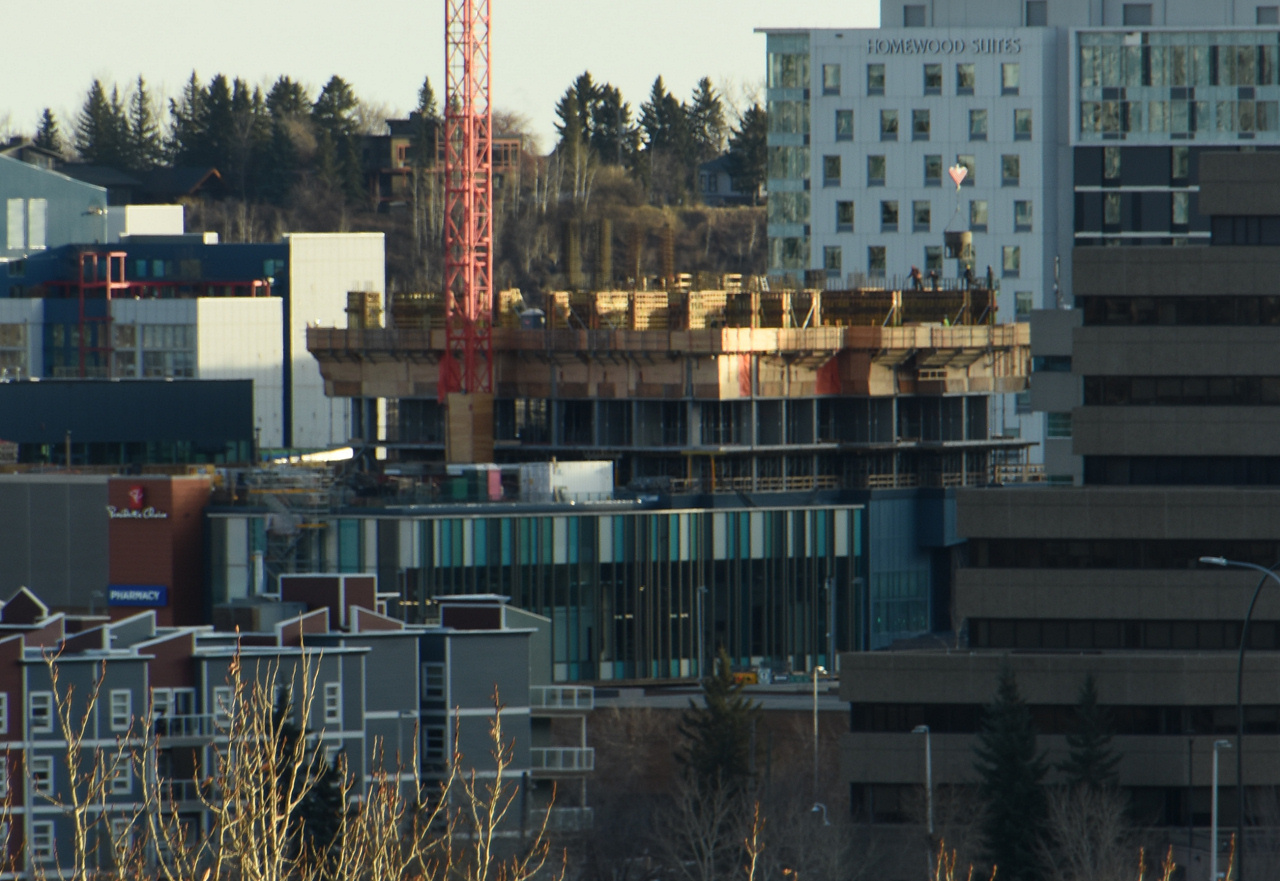 00-DSC_1608.JPG
