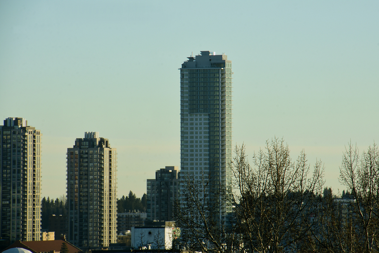 00-DSC_1681.JPG