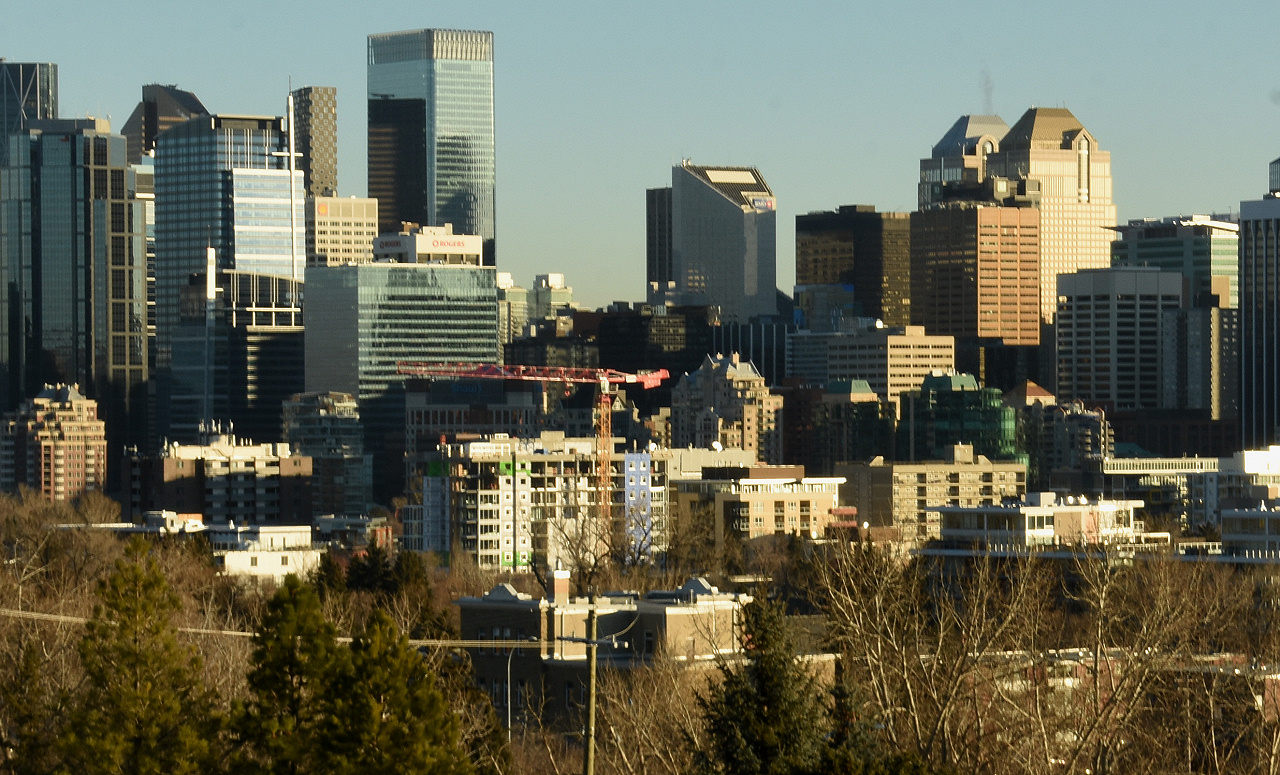 00-DSC_1686.JPG