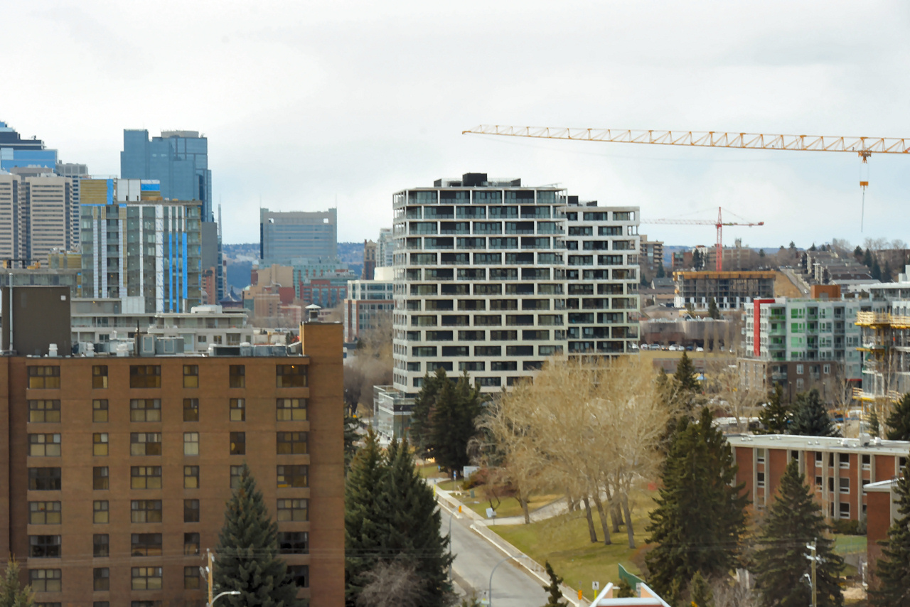 00-DSC_2530.JPG