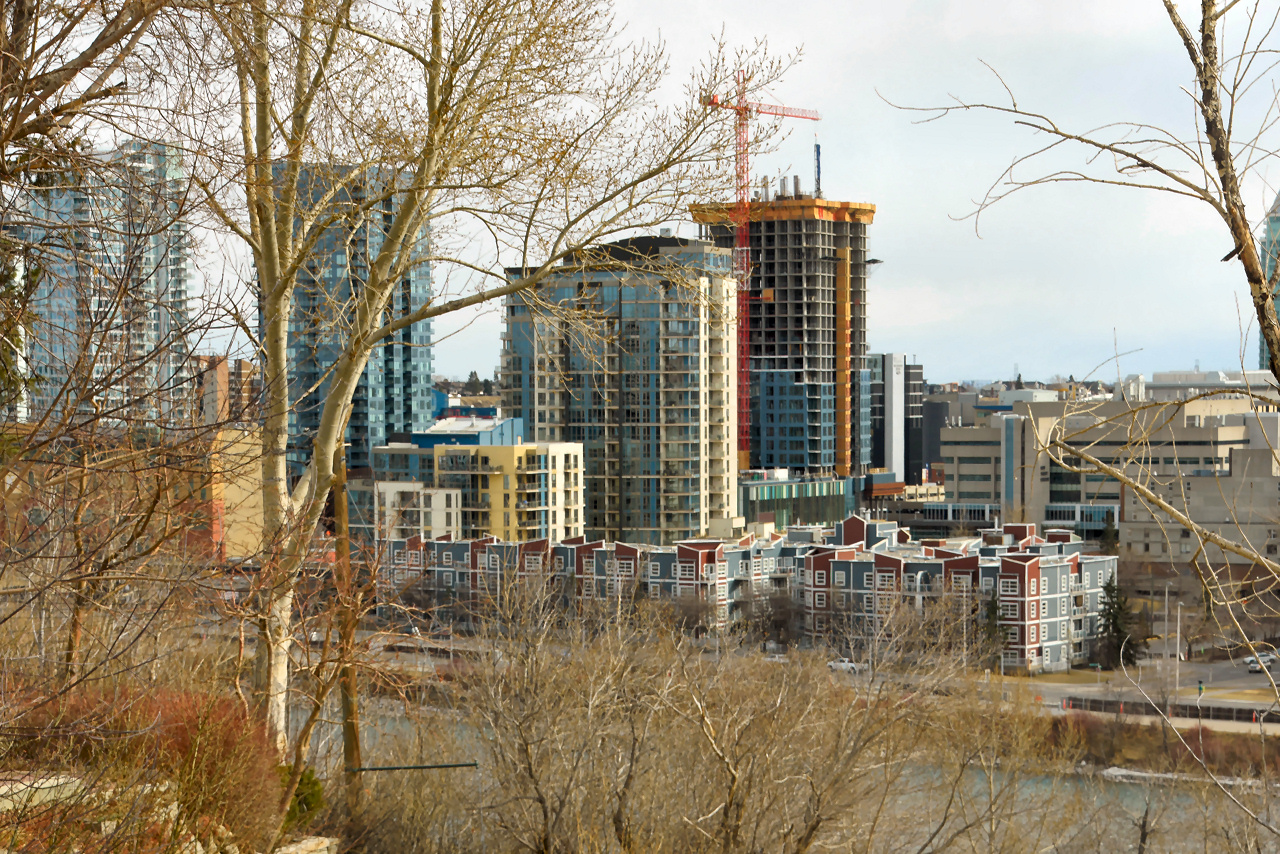 00-DSC_2548.JPG
