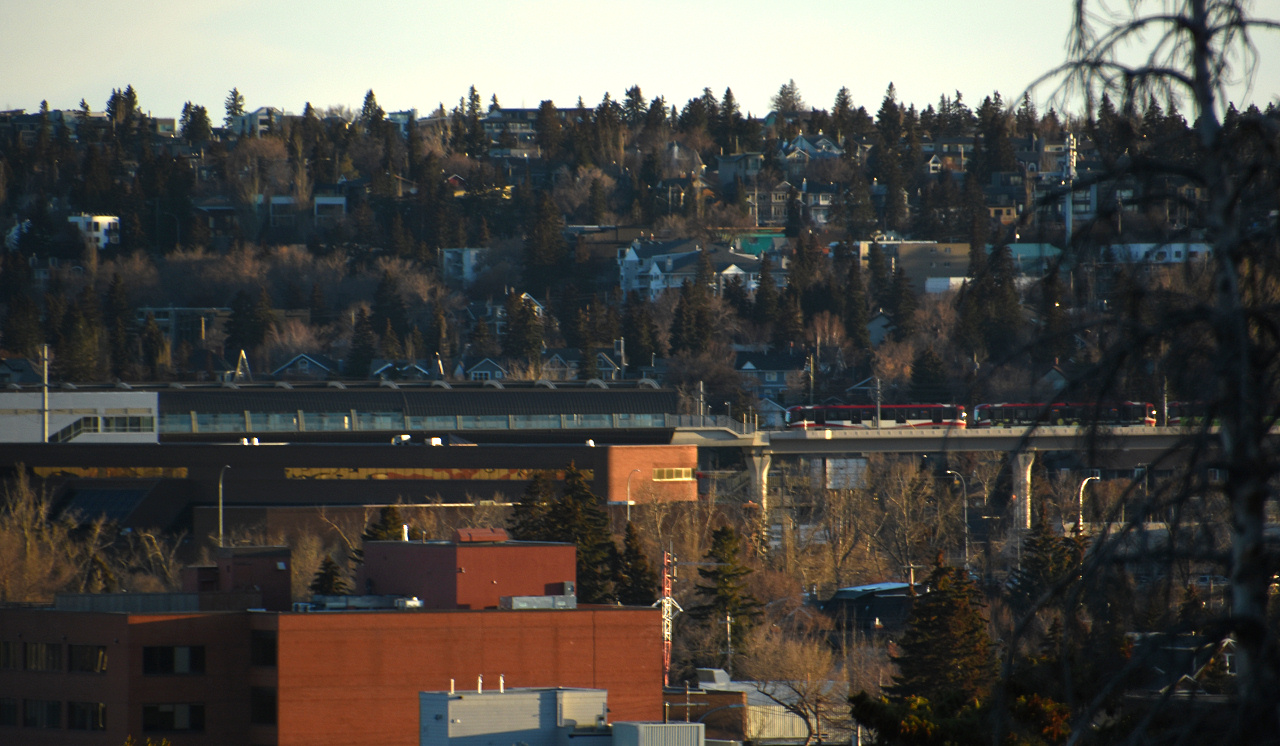 00-DSC_3283.JPG
