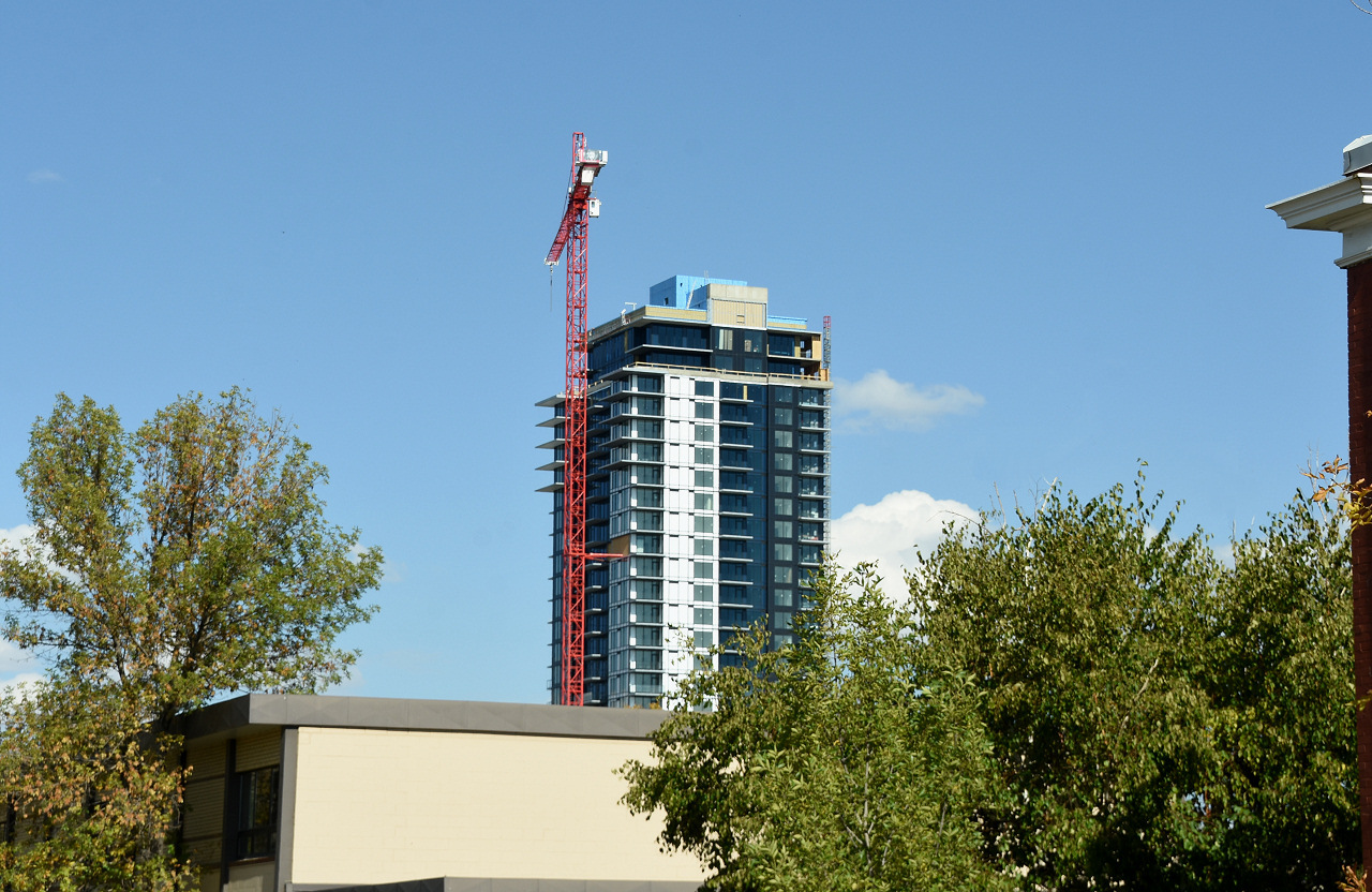 00-DSC_3542.JPG