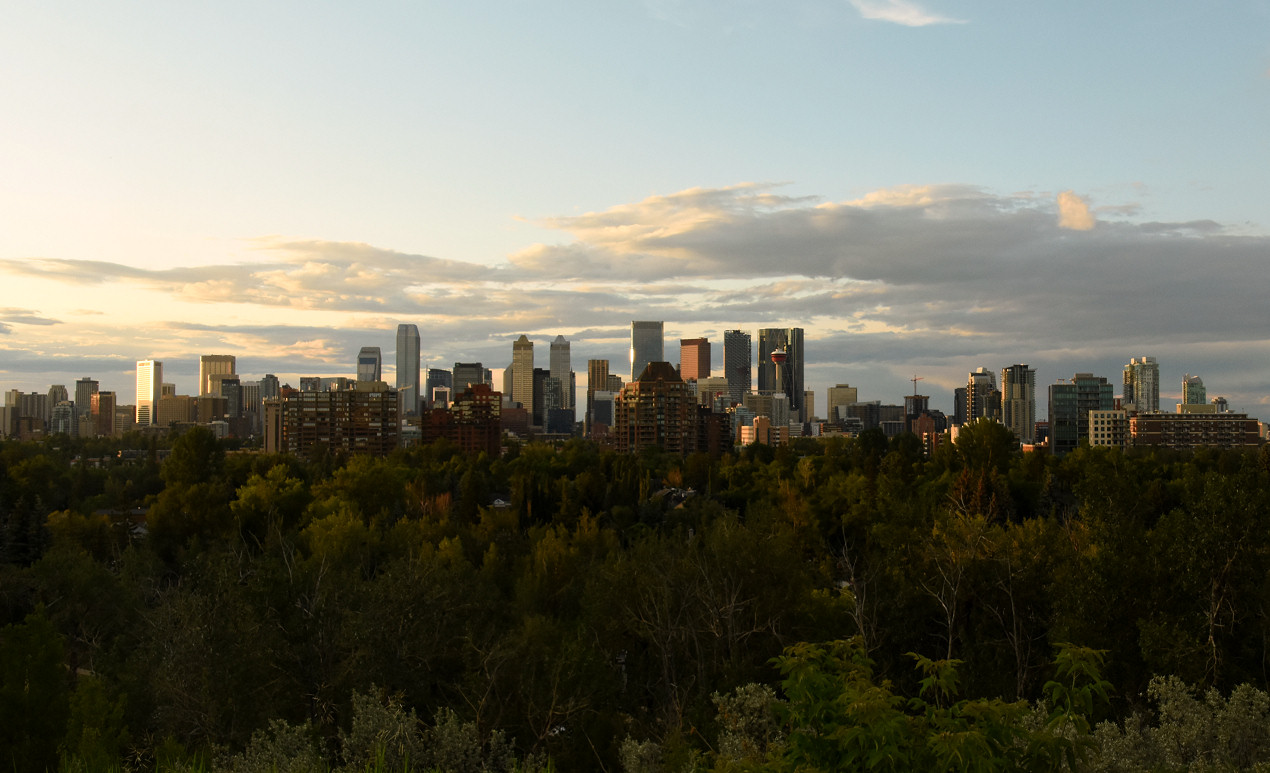 00-DSC_7345.jpg