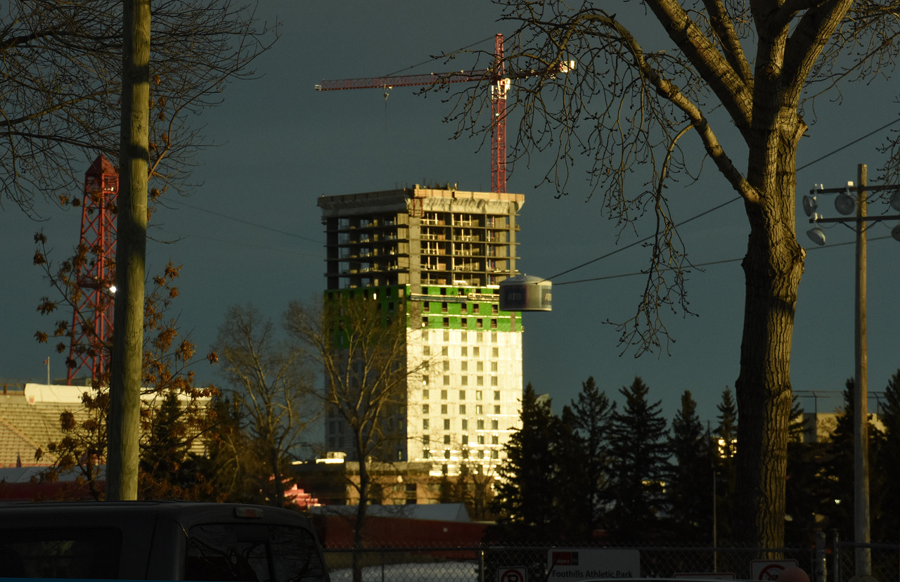 00-DSC_7784.JPG