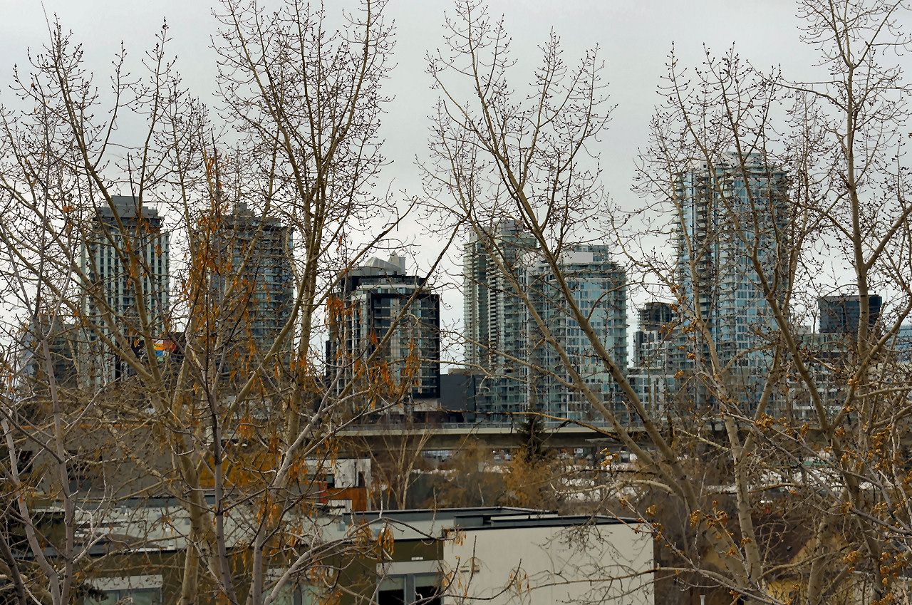 00-DSC_8134.jpg