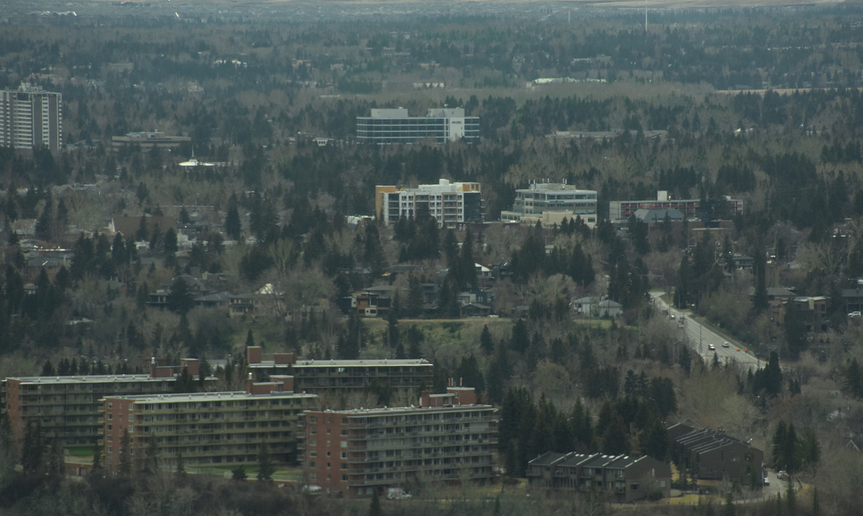 01-2018-04-18 083.jpg