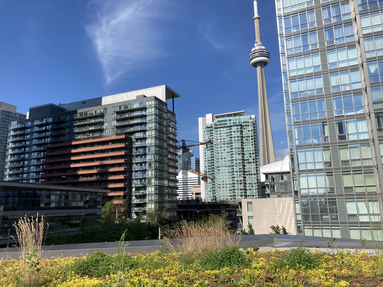 0239D6A7-BBE4-4223-866F-64B4AC95A855.jpeg 0239D6A7-BBE4-4223-866F-64B4AC95A855.jpeg