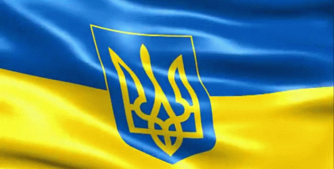 05F7364C-6A32-4615-A49D-77B53431F275.gif