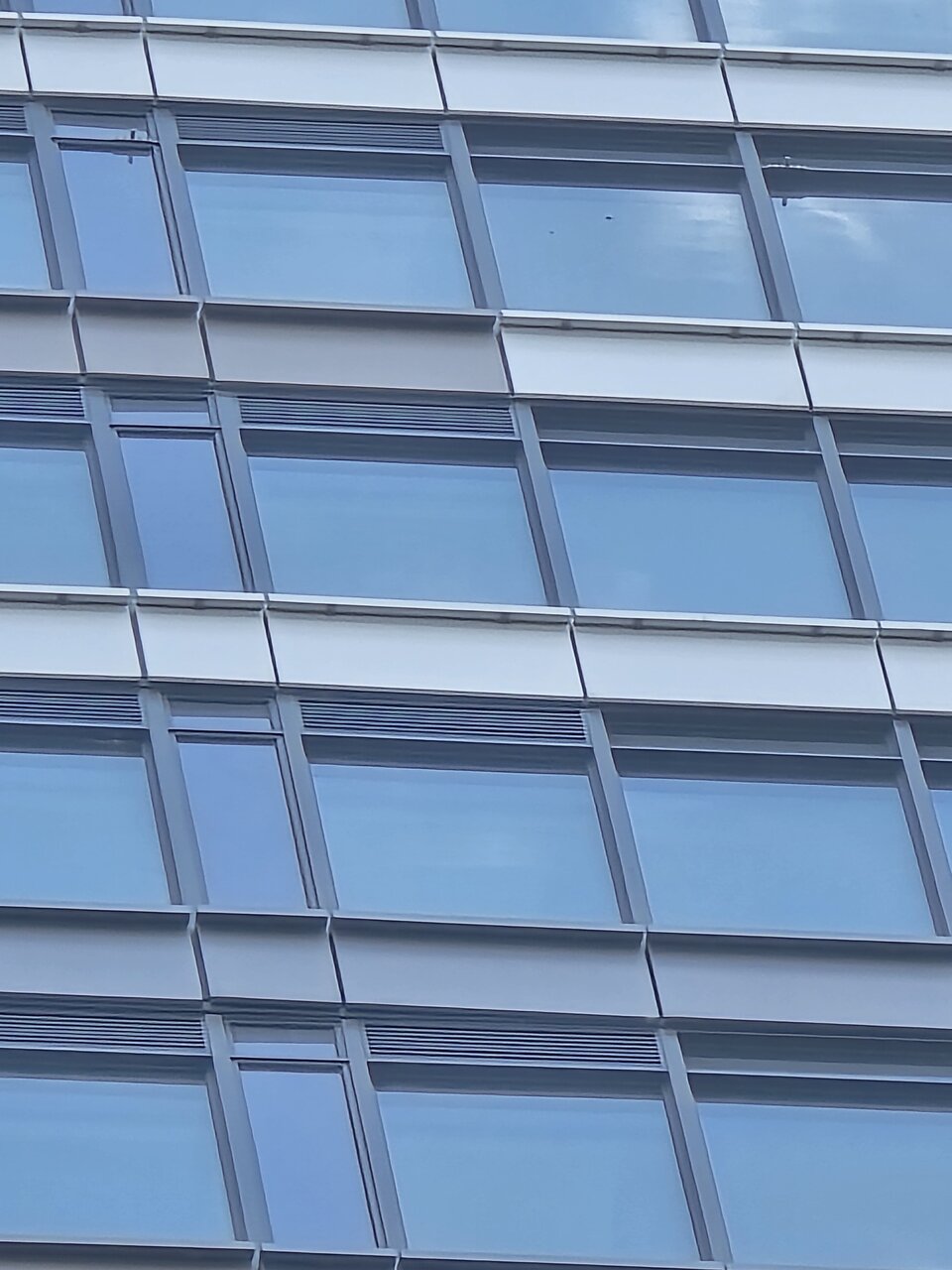 1000007825.jpg