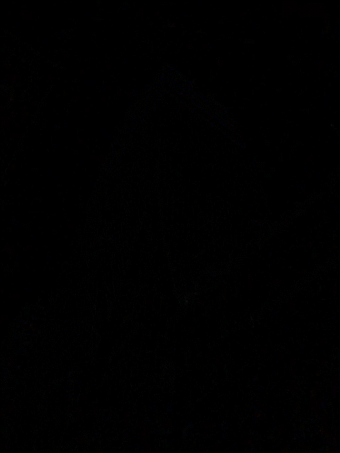 1000017971.gif
