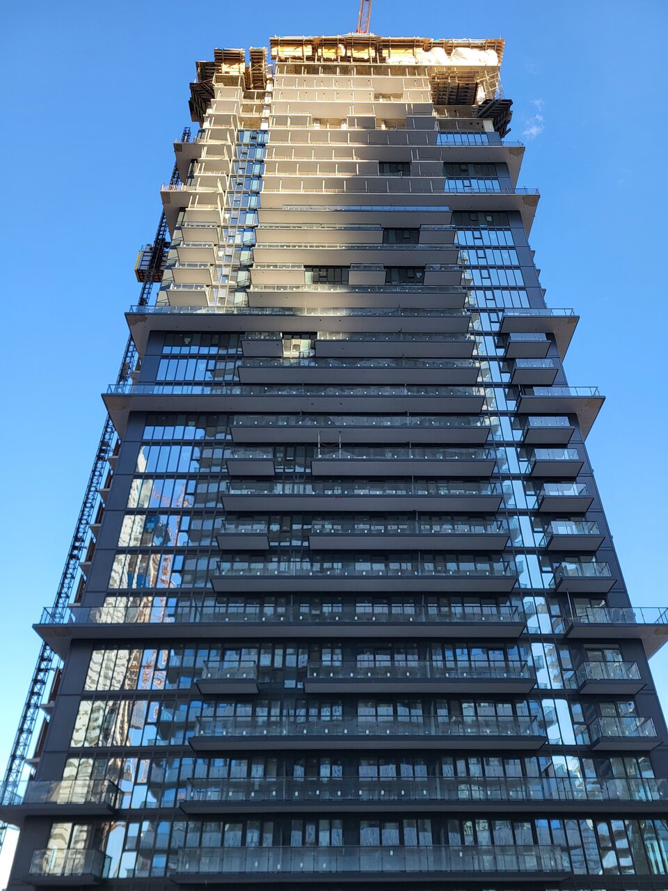 1000019687.jpg