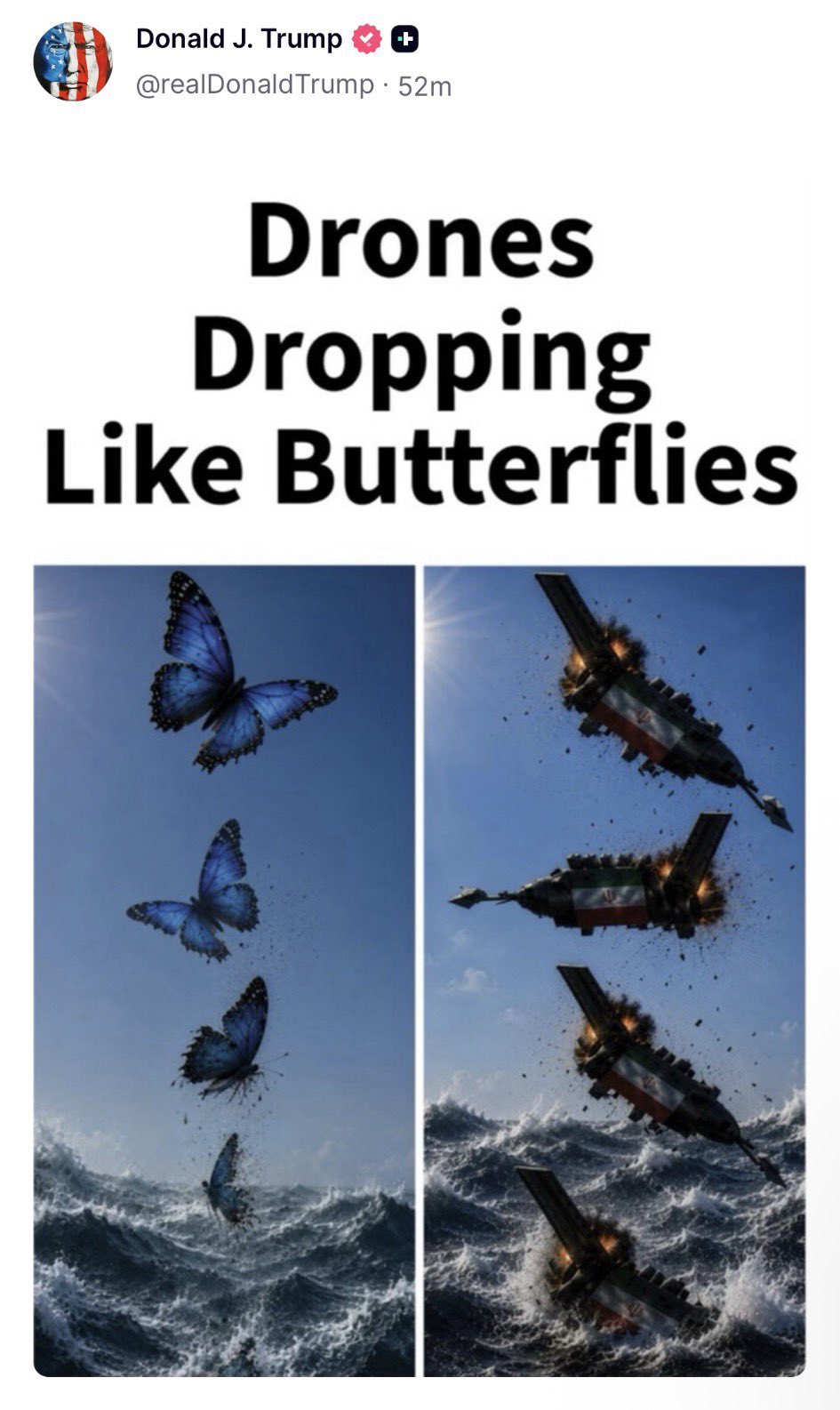 1000022678.jpg