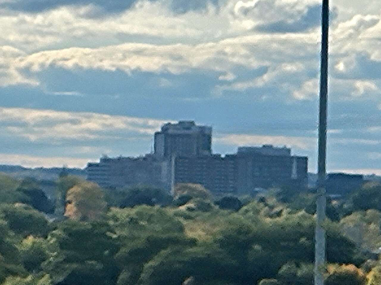 1000031960.jpg