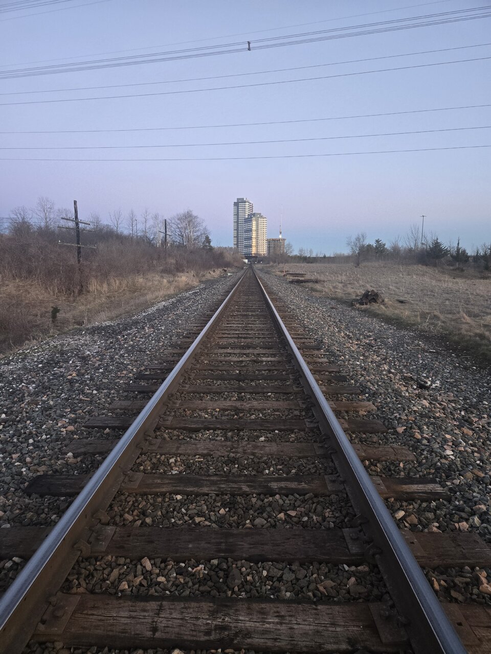 1000034411.jpg