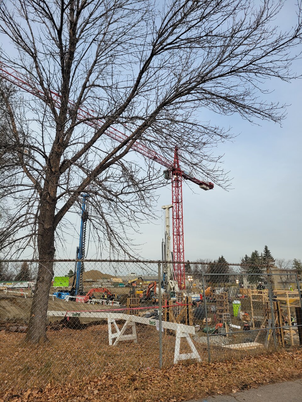 1000037607-jpg.695489