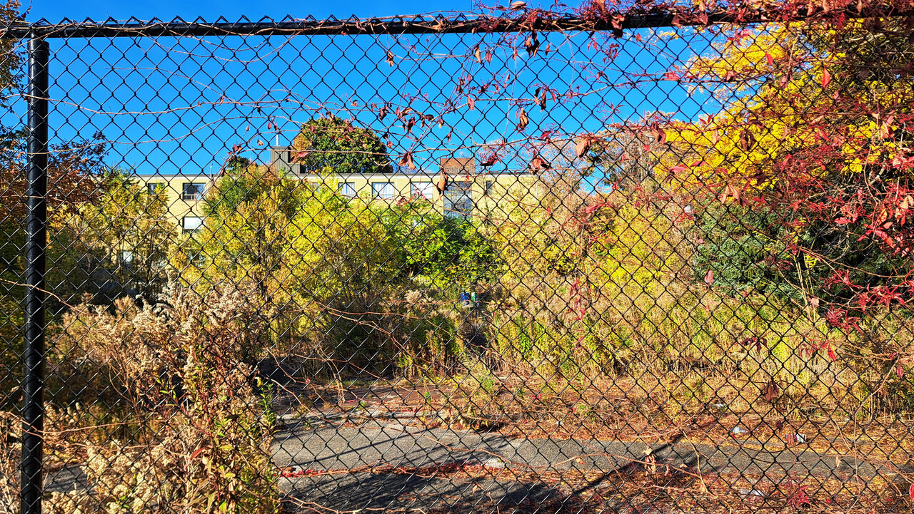 1099broadview-003.jpg