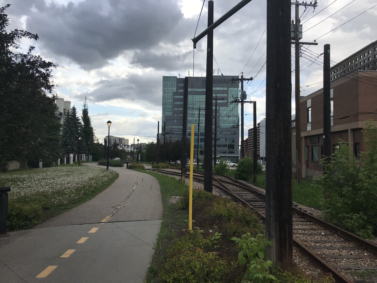 10th St Path north June 2020.JPG