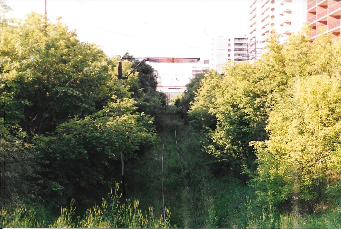 10th Street path south.jpg