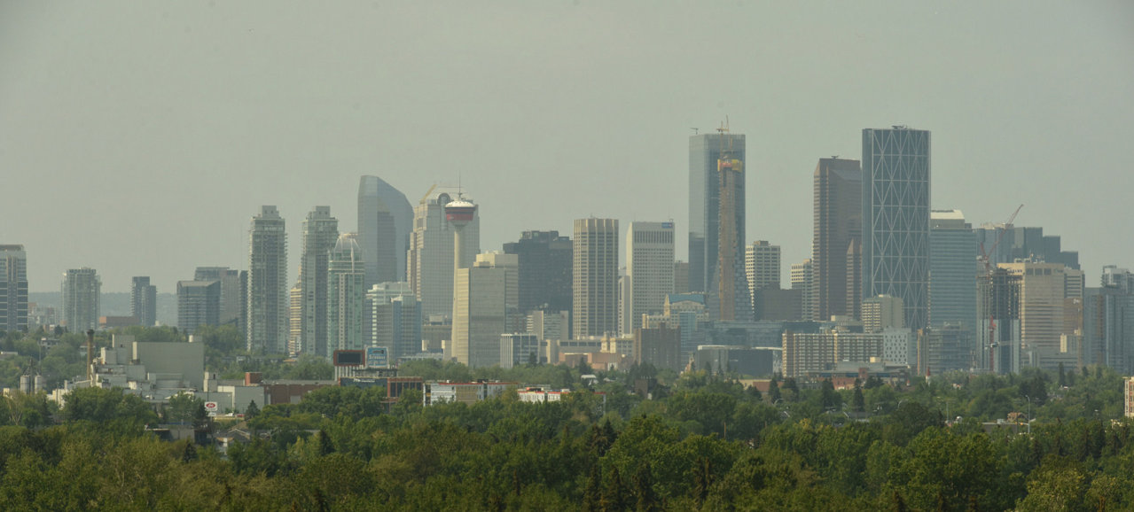 1104_0000b.jpg