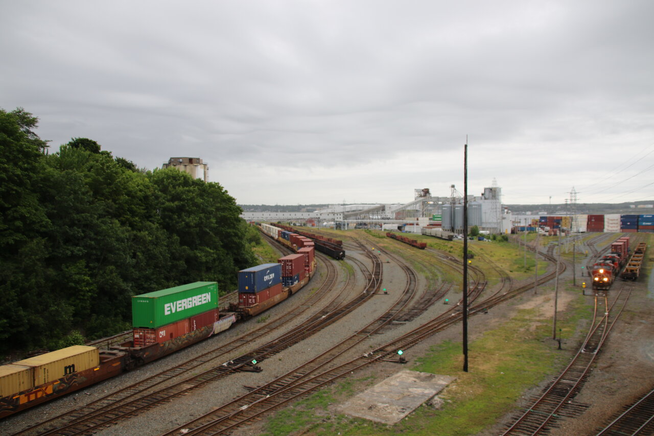 133A5996.JPG