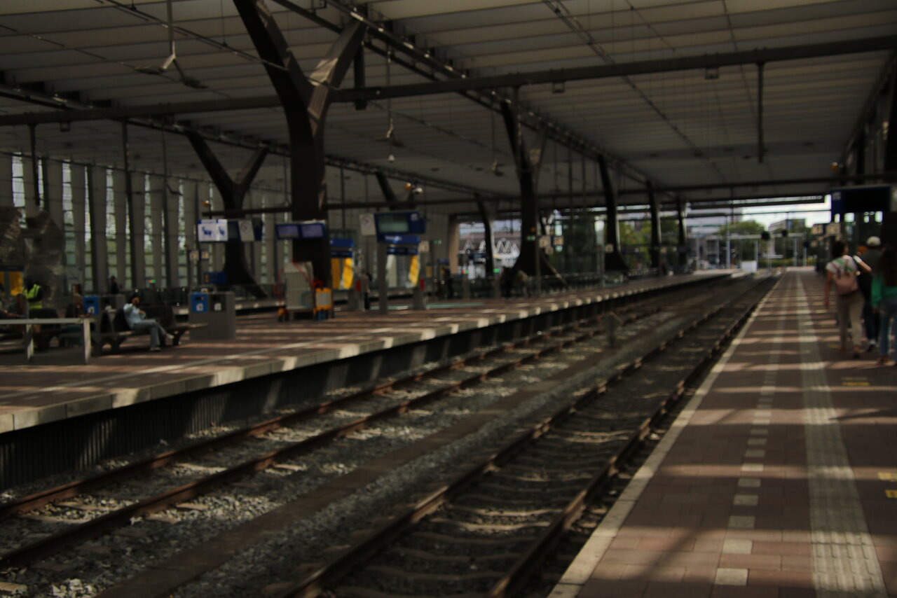 133A9786.JPG