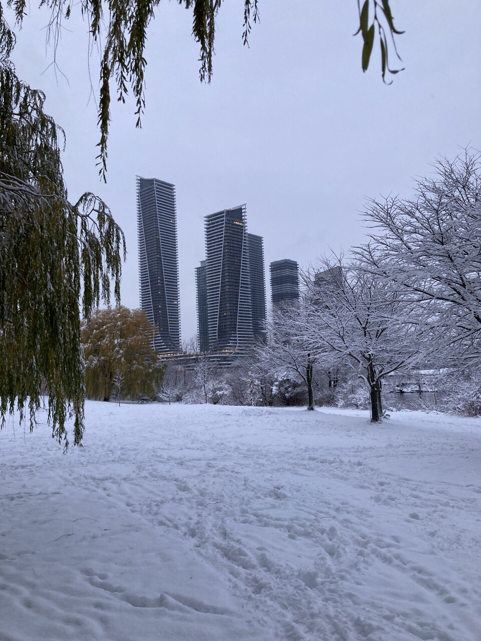 14403749-285B-4434-972D-C010FF7D3687.jpeg