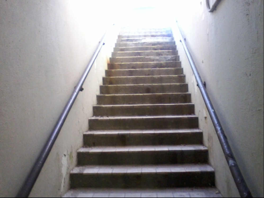 1544533638295.png