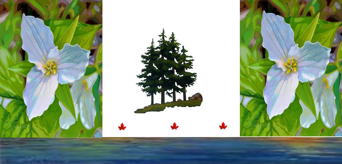 1594685830270.png