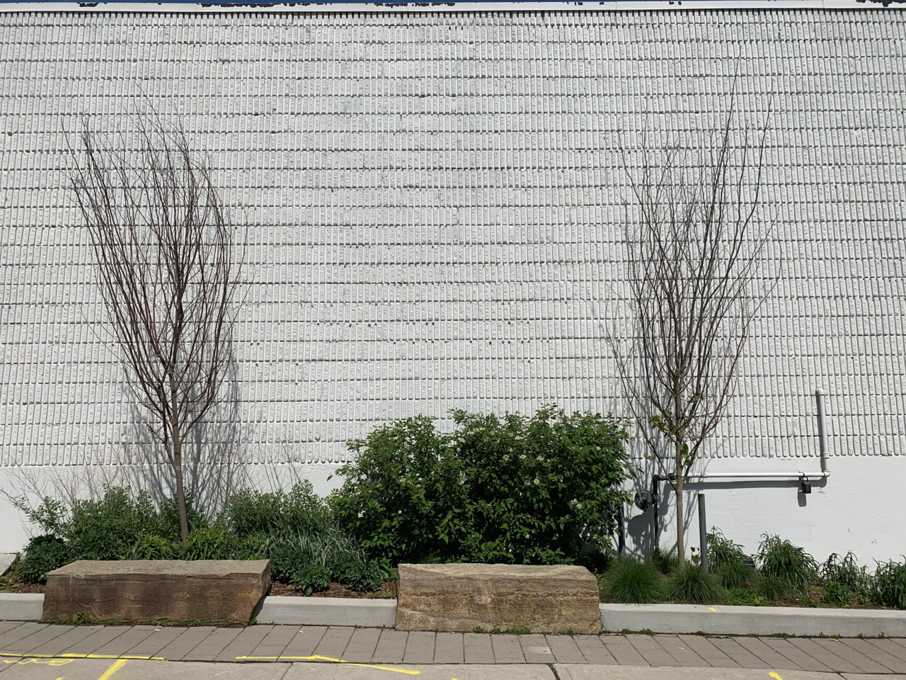 1594910271121.png