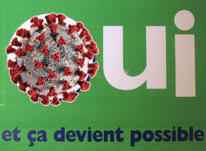 1596997918005.png