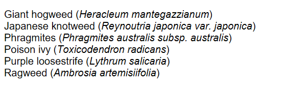 1620915557363.png