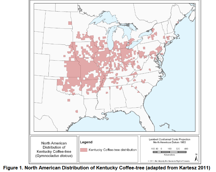 1641915842658-png.374233