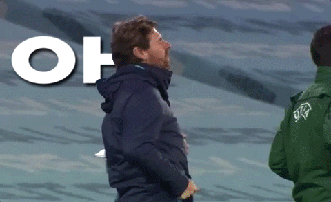1679160444248.gif