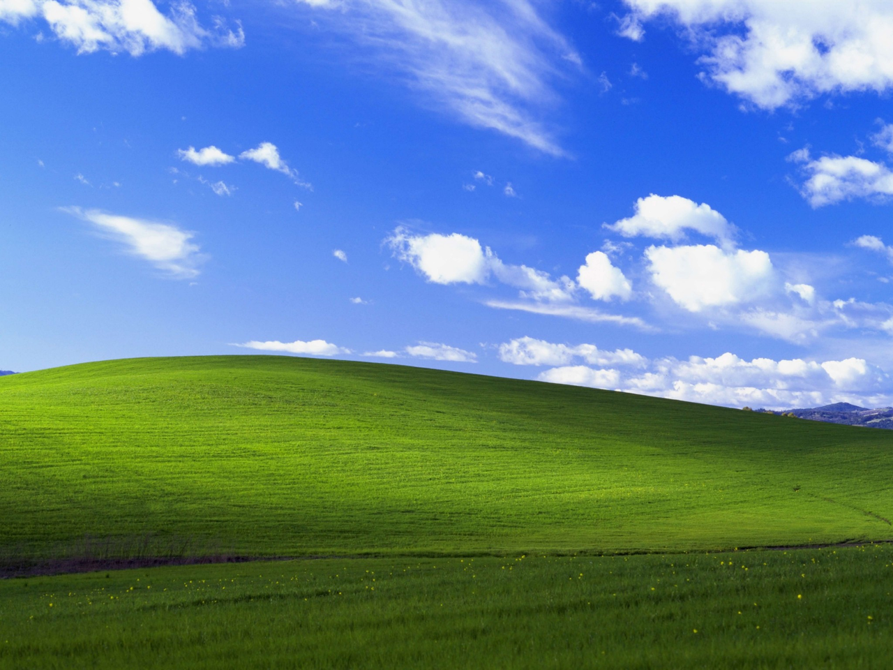 1688953388614.png