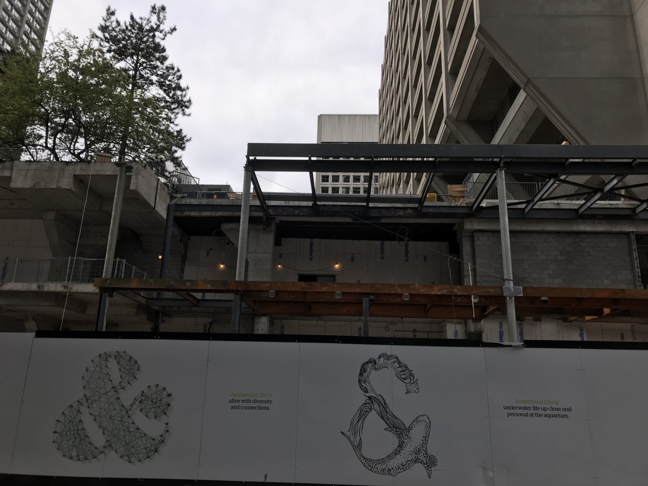 16F88F62-D952-459F-A407-F1FC07E096D9.jpeg