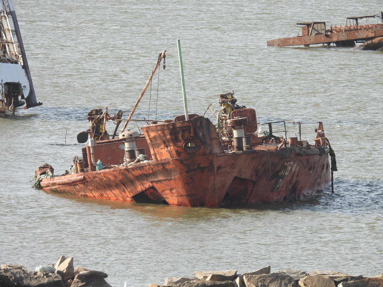 1707177816922.jpeg