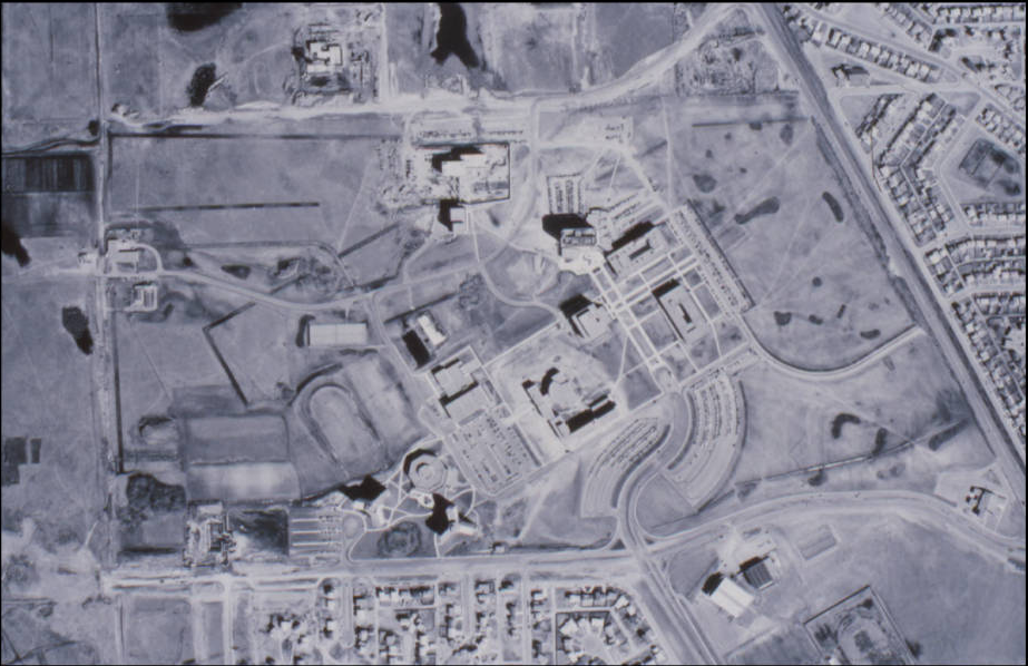 1966Capture.PNG