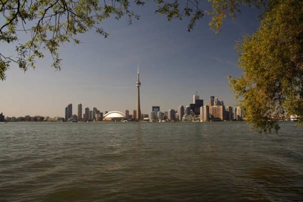 197154_4441589294_7223_n.jpg