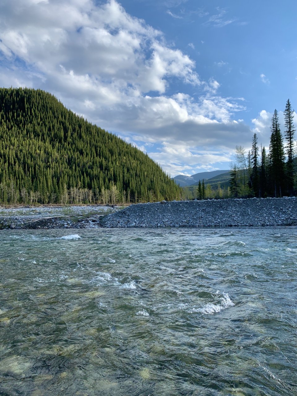 1A219902-1D03-4AE5-A5ED-8E72025C67C9.jpeg