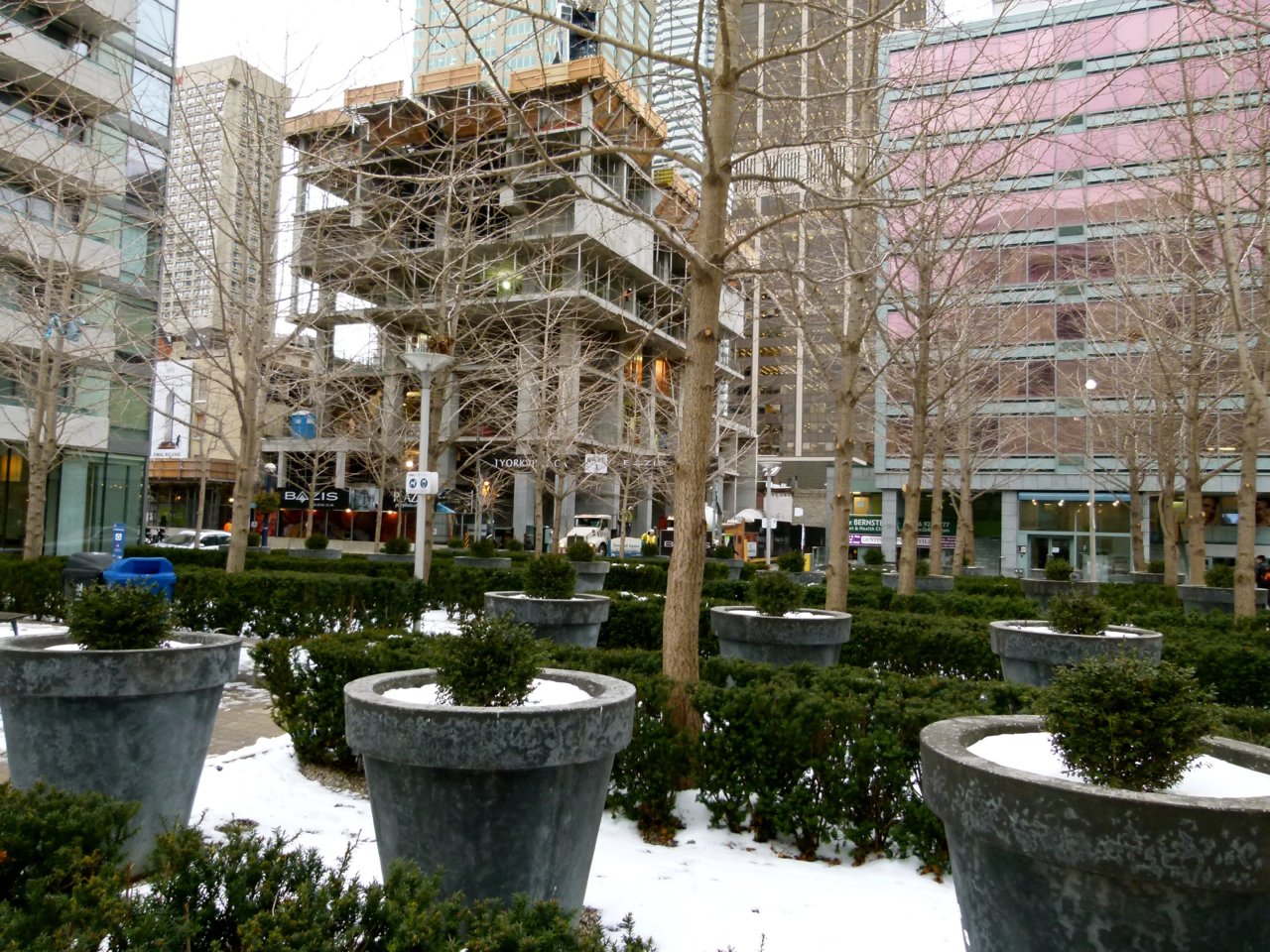 1Yorkville.1.jpg