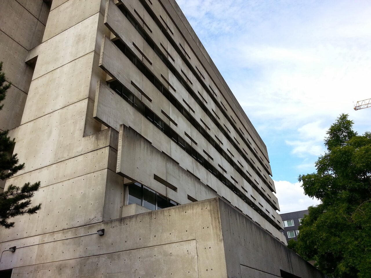 20130616_191231.jpg