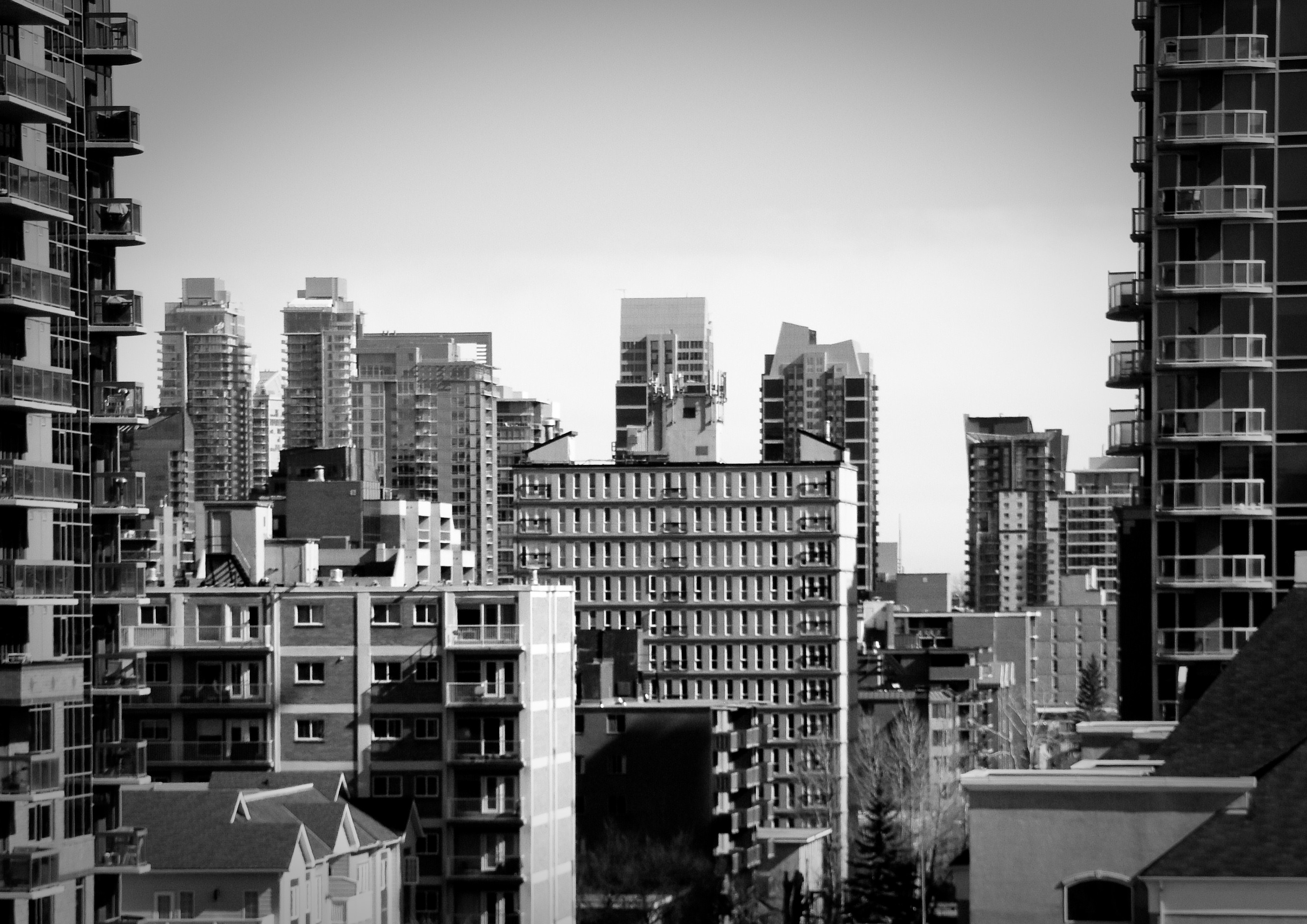 2017 March 16 100-2.jpg