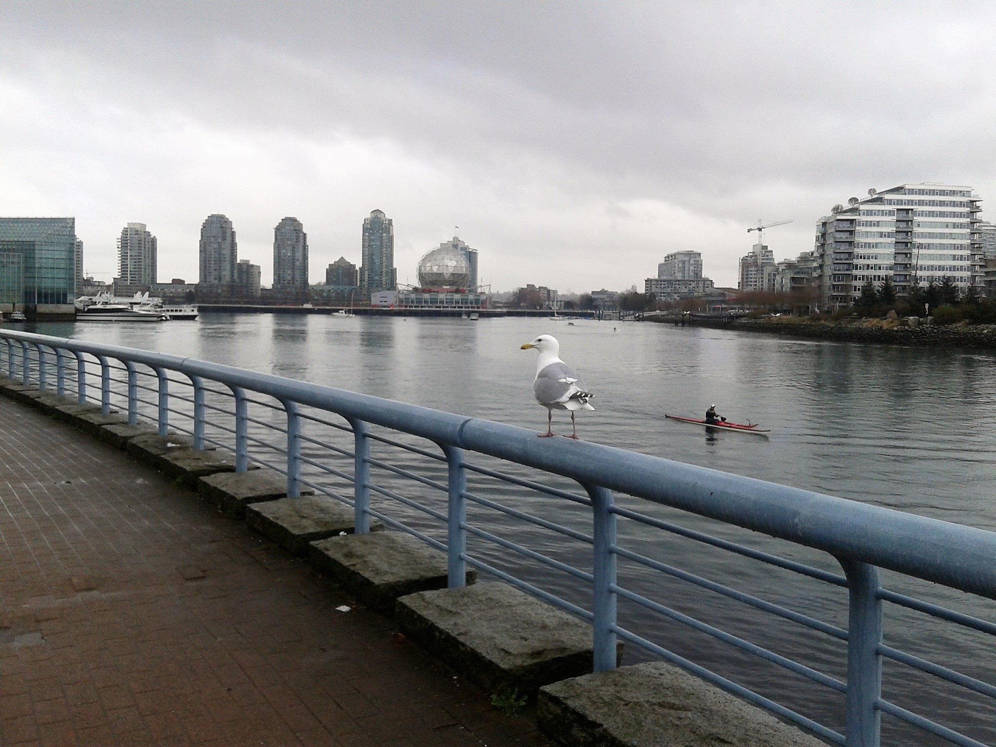 20170312_120209.jpg