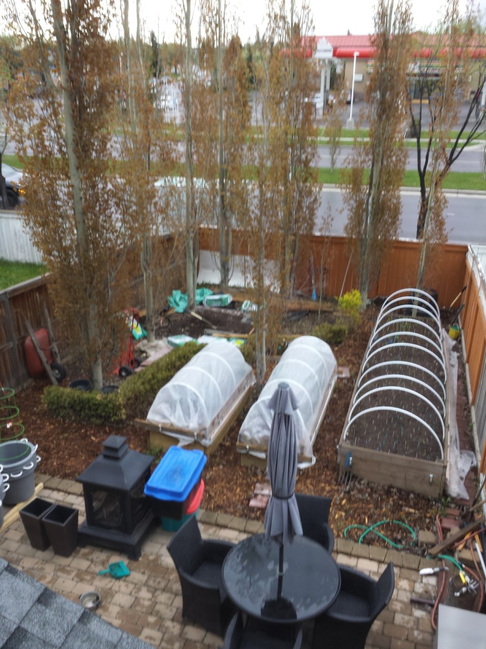 20170514_195522.jpg