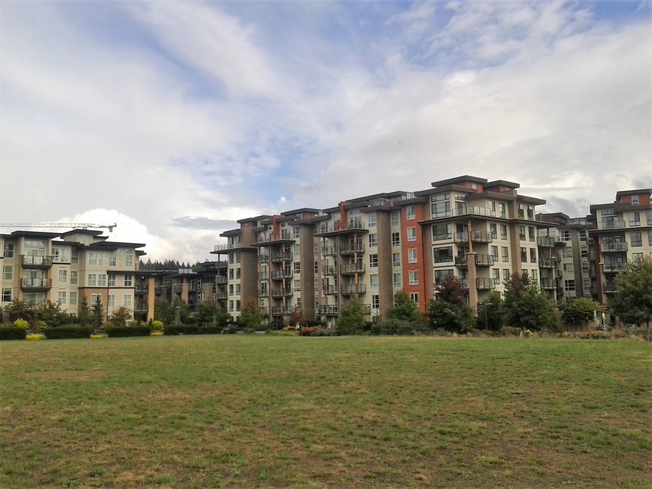 20170930_153307.jpg